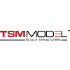 TSM Model