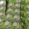 GP Battery LR44 1.5V (2pcs) A76, AG13, L1154, LR1154, 157 GP Battery LR44 1.5V (2pcs) A76, AG13, L1154, LR1154, 157