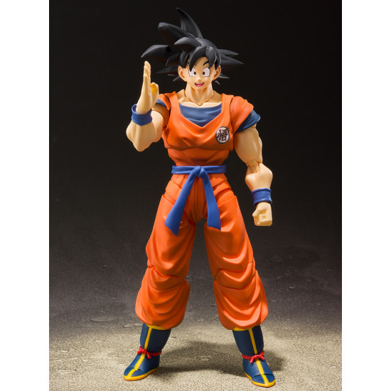 S.H.Figuarts Son Goku - A Saiyan of raising on earth