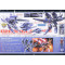 HG 1/144 GN Arms Type E + Gundam Exia TransAM HG 1/144 GN Arms Type E + Gundam Exia TransAM
